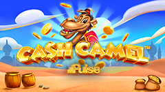 CASH CAMEL